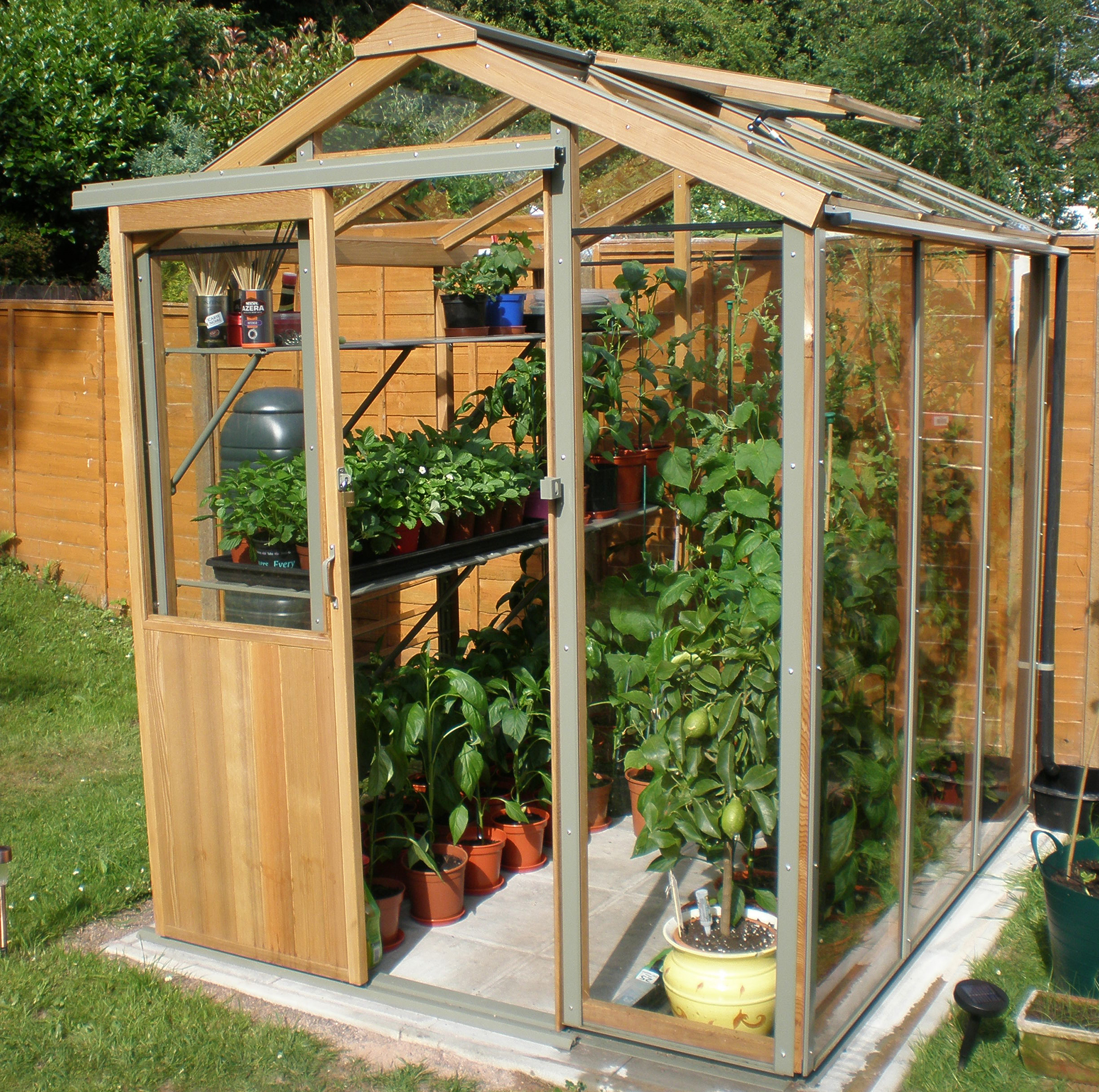 Greenhouses and cold frames you can get delivered